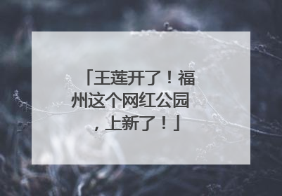 王莲开了！福州这个网红公园，上新了！