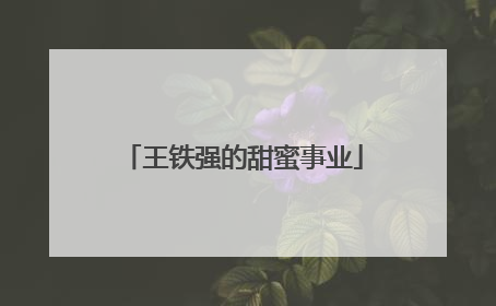 王铁强的甜蜜事业