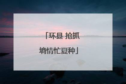 环县 抢抓墒情忙夏种
