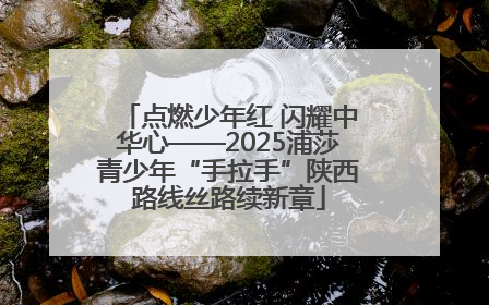 点燃少年红 闪耀中华心——2025浦莎青少年“手拉手”陕西路线丝路续新章