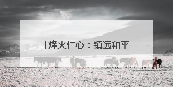 烽火仁心：镇远和平村的人道主义之光