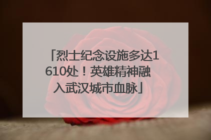 烈士纪念设施多达1610处！英雄精神融入武汉城市血脉