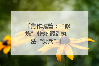 焦作城管：“修炼”业务 锻造执法“尖兵”