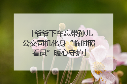 爷爷下车忘带孙儿 公交司机化身“临时照看员”暖心守护