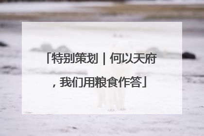 特别策划｜何以天府，我们用粮食作答