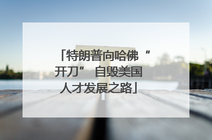 特朗普向哈佛“开刀” 自毁美国人才发展之路