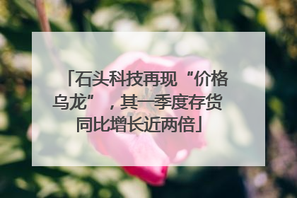 石头科技再现“价格乌龙”，其一季度存货同比增长近两倍