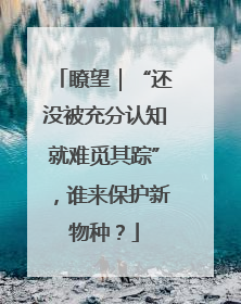 瞭望｜“还没被充分认知就难觅其踪”，谁来保护新物种？