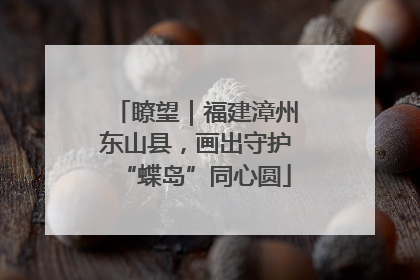 瞭望｜福建漳州东山县，画出守护“蝶岛”同心圆