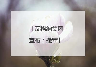 瓦格纳集团宣布：撤军