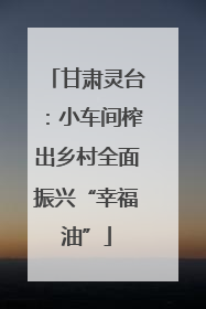 甘肃灵台：小车间榨出乡村全面振兴“幸福油”