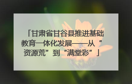 甘肃省甘谷县推进基础教育一体化发展——从“资源荒”到“满堂彩”