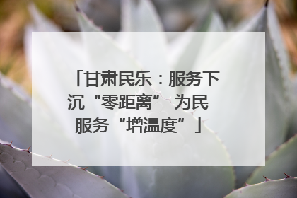 甘肃民乐：服务下沉“零距离” 为民服务“增温度”