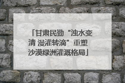 甘肃民勤“浊水变清 漫灌转滴”重塑沙漠绿洲灌溉格局
