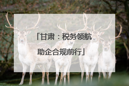 甘肃：税务领航 助企合规前行