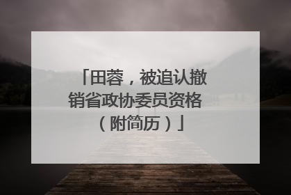 田蓉，被追认撤销省政协委员资格（附简历）