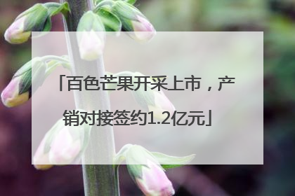 百色芒果开采上市，产销对接签约1.2亿元