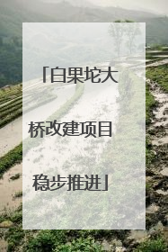 白果坨大桥改建项目稳步推进