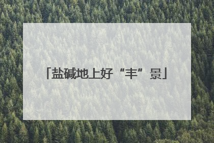 盐碱地上好“丰”景