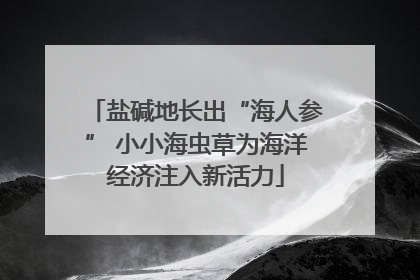 盐碱地长出“海人参” 小小海虫草为海洋经济注入新活力