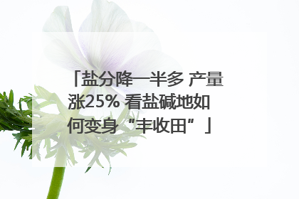 盐分降一半多 产量涨25% 看盐碱地如何变身“丰收田”