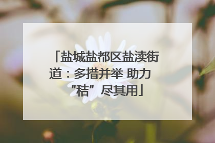盐城盐都区盐渎街道：多措并举 助力“秸”尽其用