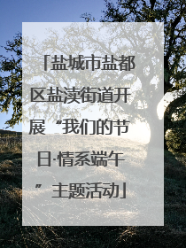 盐城市盐都区盐渎街道开展“我们的节日·情系端午”主题活动
