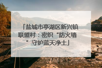 盐城市亭湖区新兴镇联盟村：密织“防火墙”守护蓝天净土