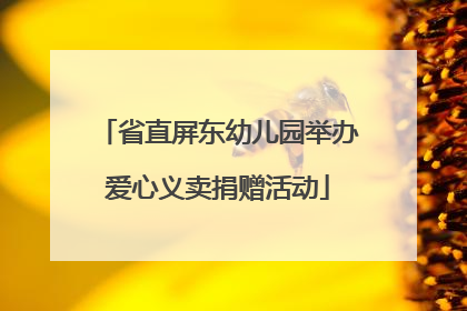 省直屏东幼儿园举办爱心义卖捐赠活动