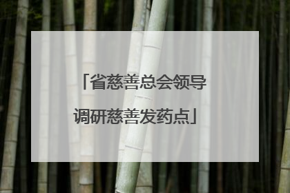 省慈善总会领导调研慈善发药点