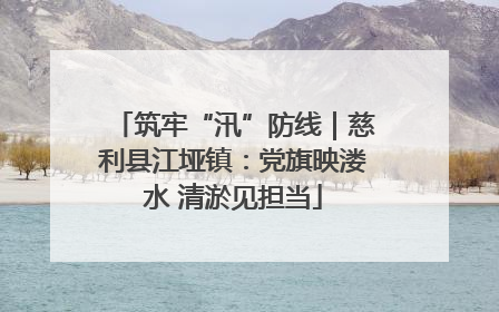 筑牢“汛”防线｜慈利县江垭镇：党旗映溇水 清淤见担当