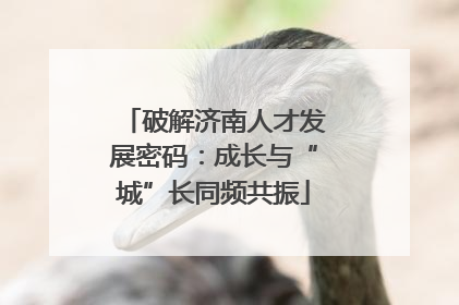 破解济南人才发展密码：成长与“城”长同频共振
