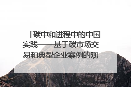 碳中和进程中的中国实践——基于碳市场交易和典型企业案例的观察报告｜旗舰报告