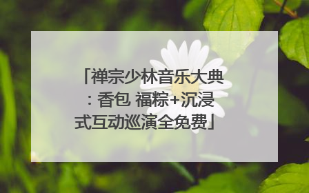 禅宗少林音乐大典：香包 福粽+沉浸式互动巡演全免费