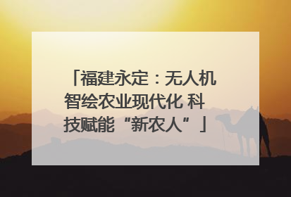 福建永定：无人机智绘农业现代化 科技赋能“新农人”
