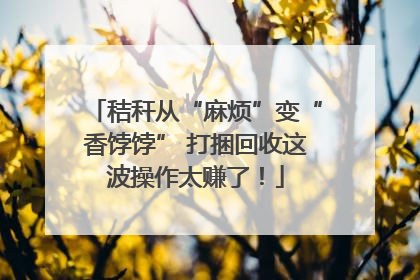 秸秆从“麻烦”变“香饽饽” 打捆回收这波操作太赚了！