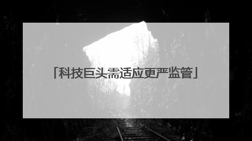科技巨头需适应更严监管