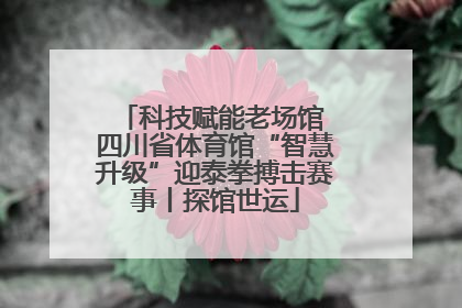 科技赋能老场馆 四川省体育馆“智慧升级”迎泰拳搏击赛事丨探馆世运