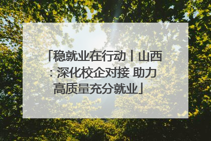 稳就业在行动丨山西：深化校企对接 助力高质量充分就业
