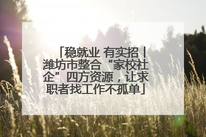 稳就业 有实招丨潍坊市整合“家校社企”四方资源,让求职者找工作不孤单