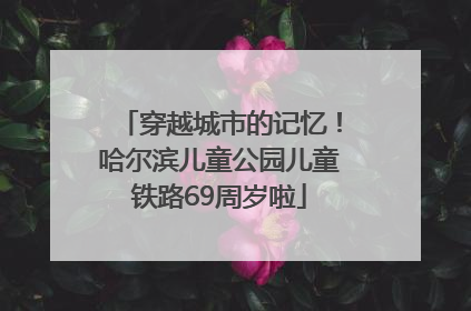 穿越城市的记忆！哈尔滨儿童公园儿童铁路69周岁啦