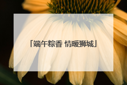 端午粽香 情暖狮城