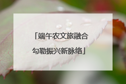 端午农文旅融合 勾勒振兴新脉络