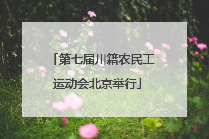 第七届川籍农民工运动会北京举行
