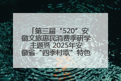 第三届“520”安徽文旅惠民消费季研学主题暨 2025年安徽省“四季村歌”特色展演燃动池州