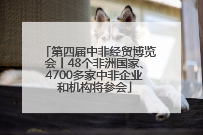 第四届中非经贸博览会丨48个非洲国家、4700多家中非企业和机构将参会
