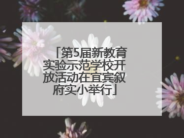第5届新教育实验示范学校开放活动在宜宾叙府实小举行