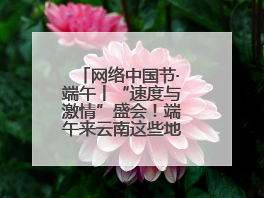 网络中国节·端午丨“速度与激情”盛会！端午来云南这些地方看龙舟竞渡