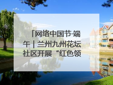 网络中国节·端午｜兰州九州花坛社区开展“红色领航 粽香敬老”端午主题活动
