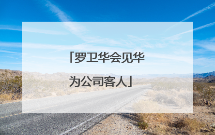 罗卫华会见华为公司客人